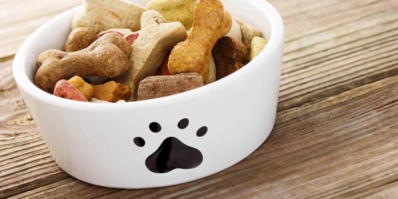 14 Foods You Can Share with Your Dog