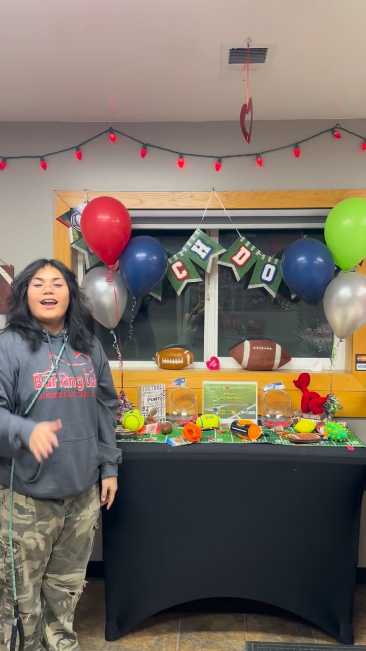 Barking Lot Doggie Daycare LLC