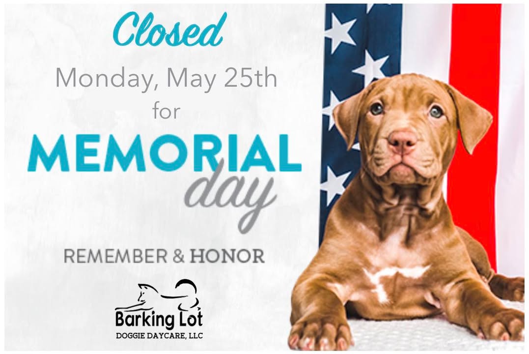 Barking Lot Doggie Daycare LLC