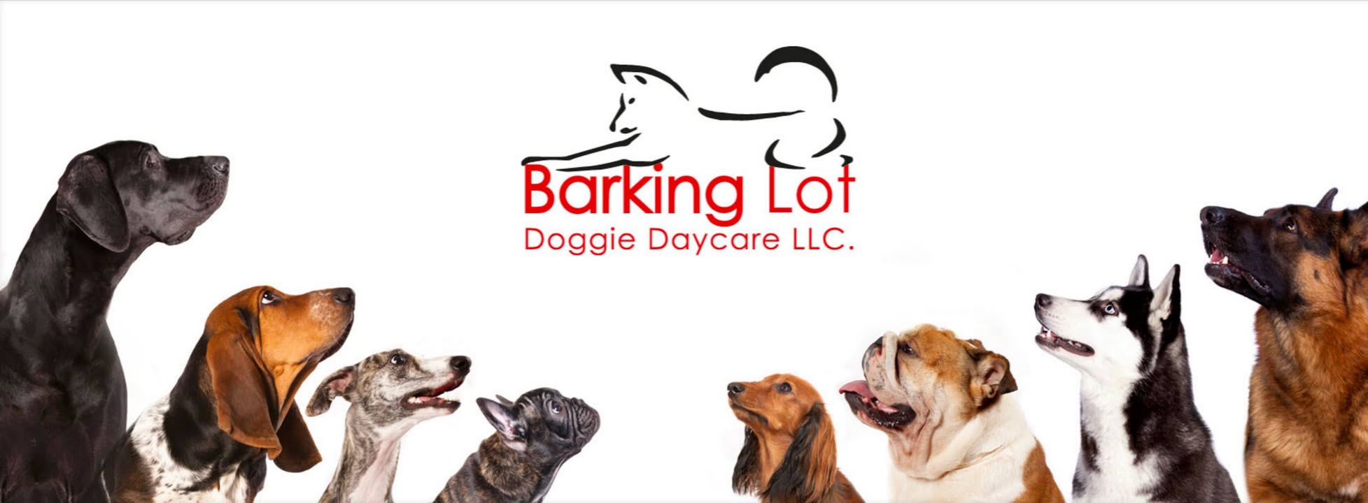 Barking Lot Doggie Daycare LLC