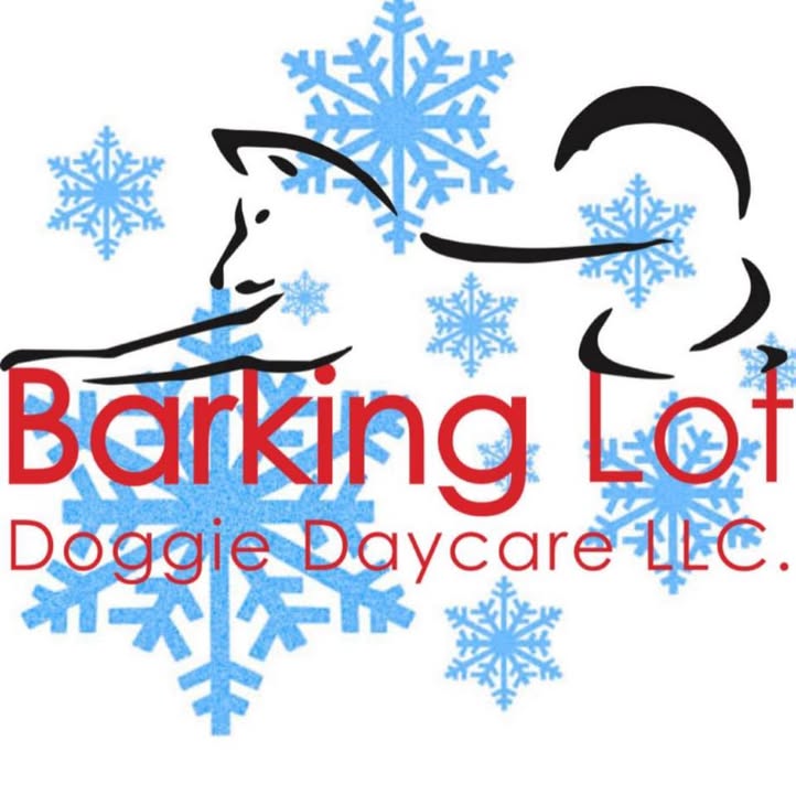 Barking Lot Doggie Daycare LLC